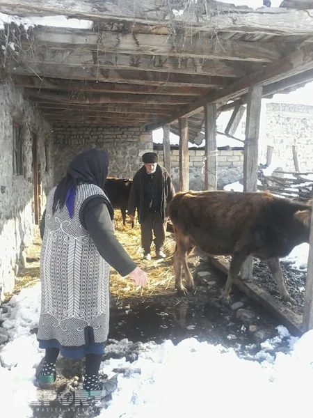Qaxda qar tikilinin  dam örtüyünü çökdürüb - FOTO