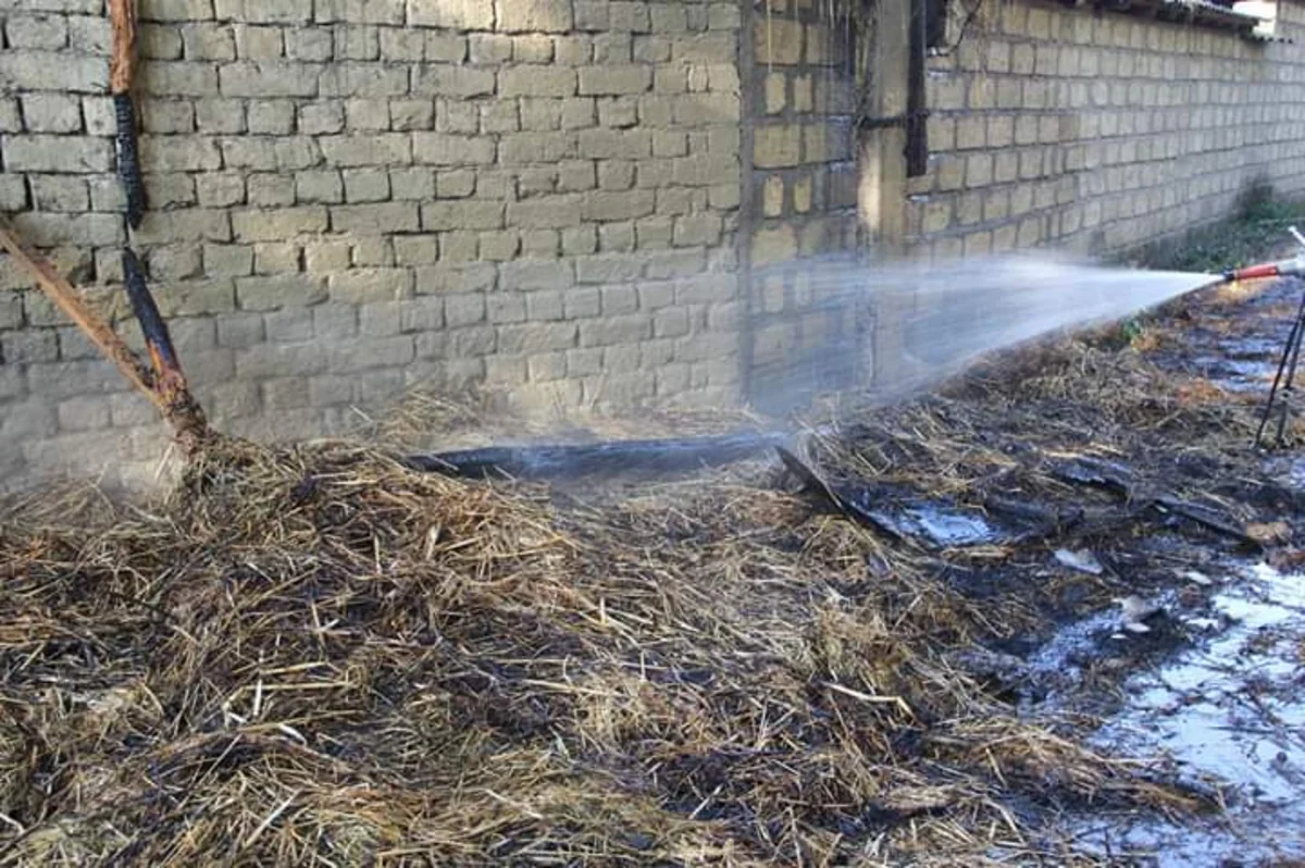 В Гейчае сгорел хлев - ВИДЕО