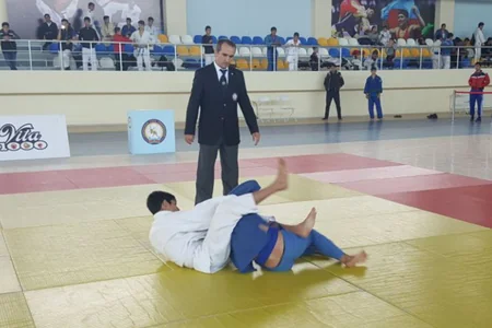 İsmayıllıda cüdo üzrə region birinciliyinə yekun vurulub