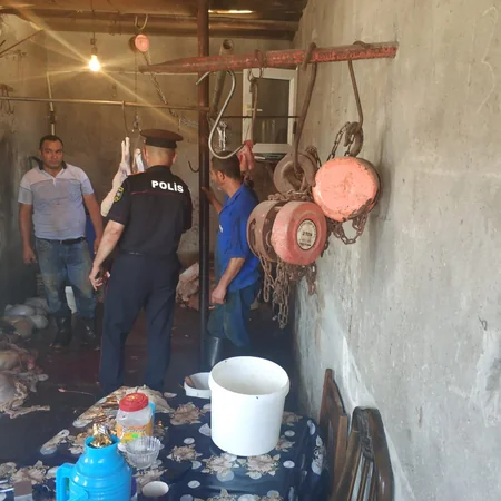 Sarayda qanunsuz ət kəsimi ilə məşğul olan şəxslər saxlanılıblar