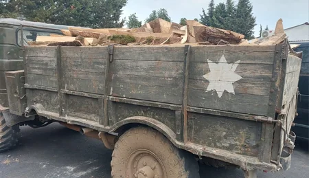“Qırmızı kitab”a daxil olan bitkilərin kəsilərək daşınması halları aşkarlanıb