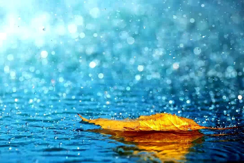 Tomorrow heavy rain predicted in Azerbaijan