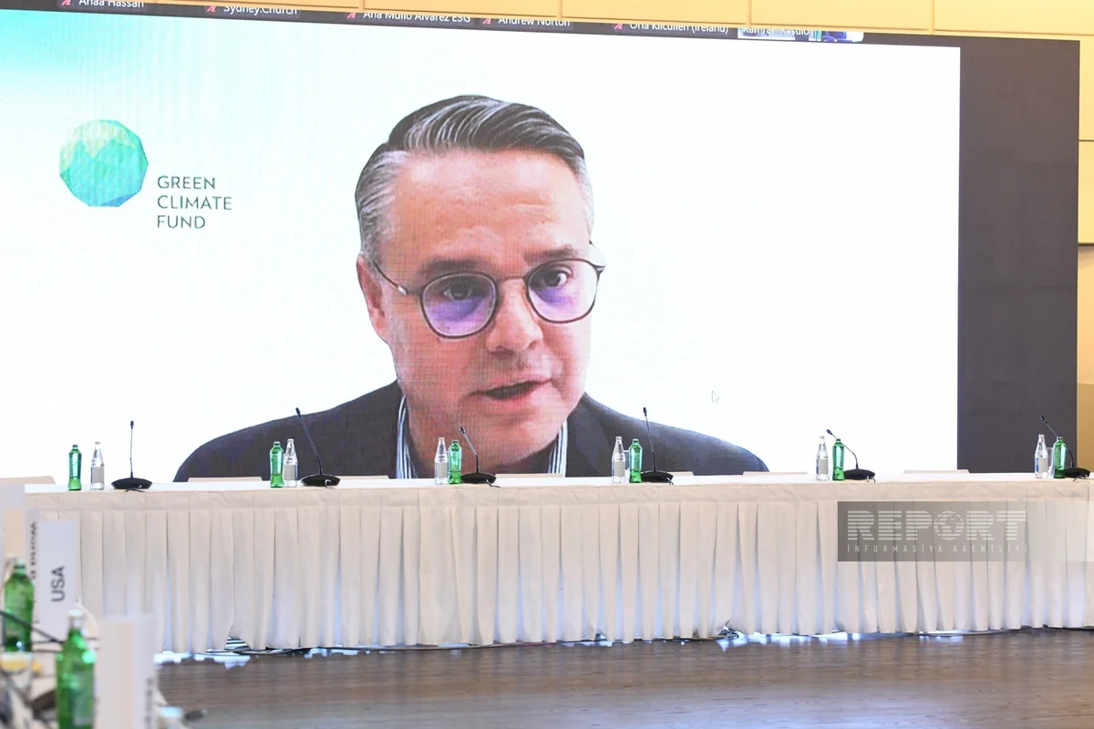 Henri Qonzales: Özəl sektor maliyyə məsələlərində daha fəal iştirak etməlidir