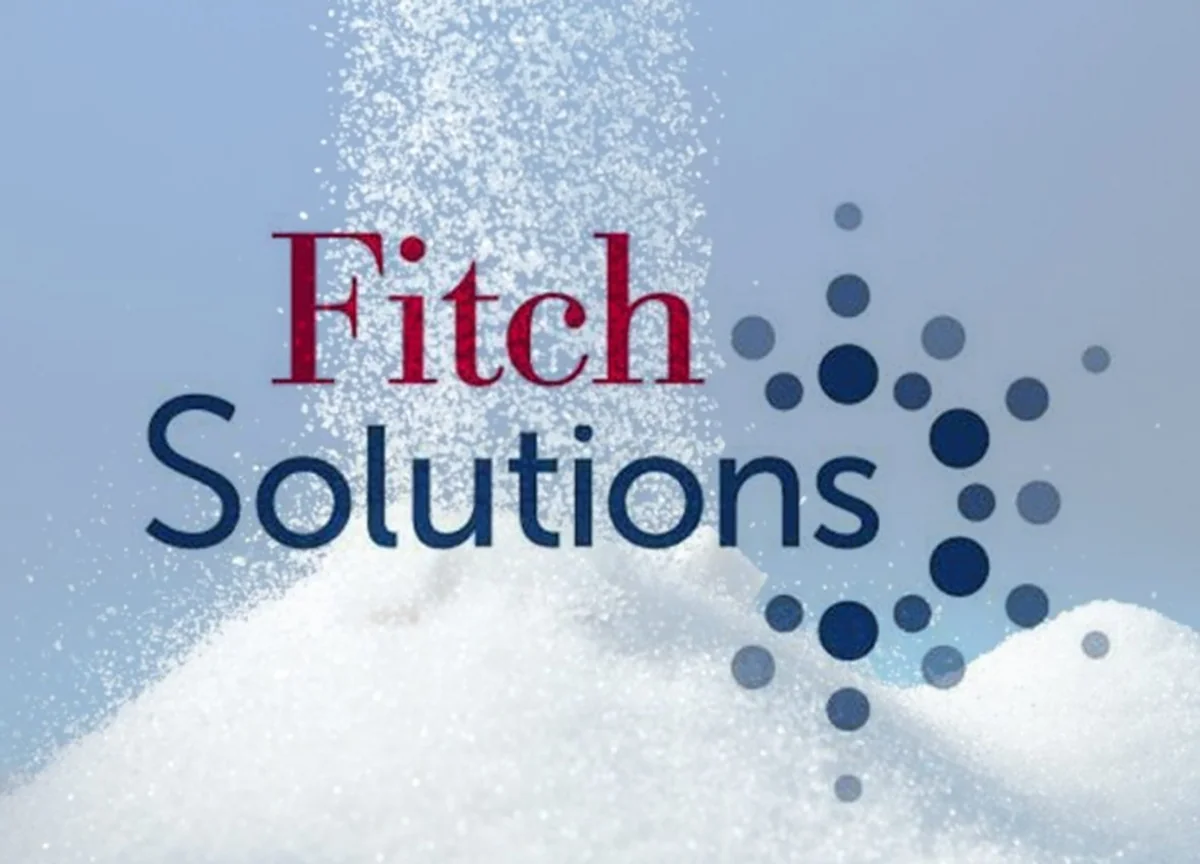 Fitch Solutions names directions for increasing investments in Azerbaijan in 2023