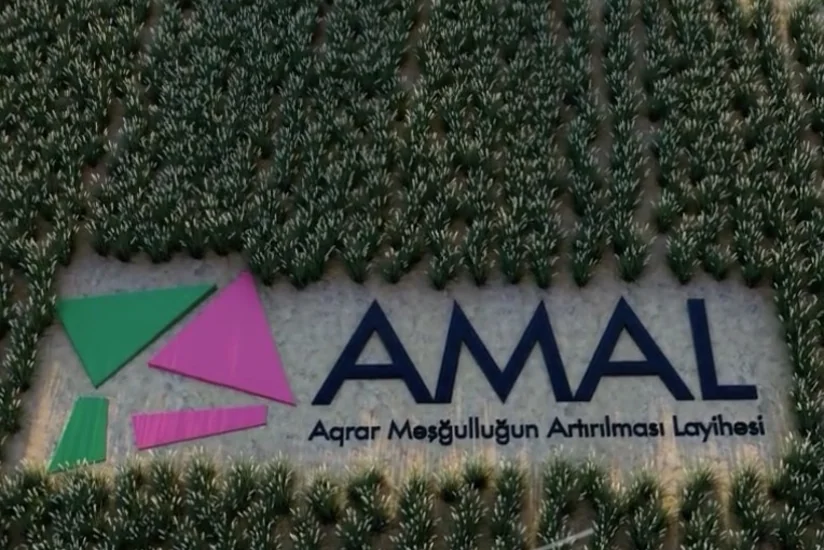 Aqrar Məşğulluğun Artırılması Layihəsinə qoşulanlara azı 2 min manatlıq maliyyə dəstəyi veriləcək