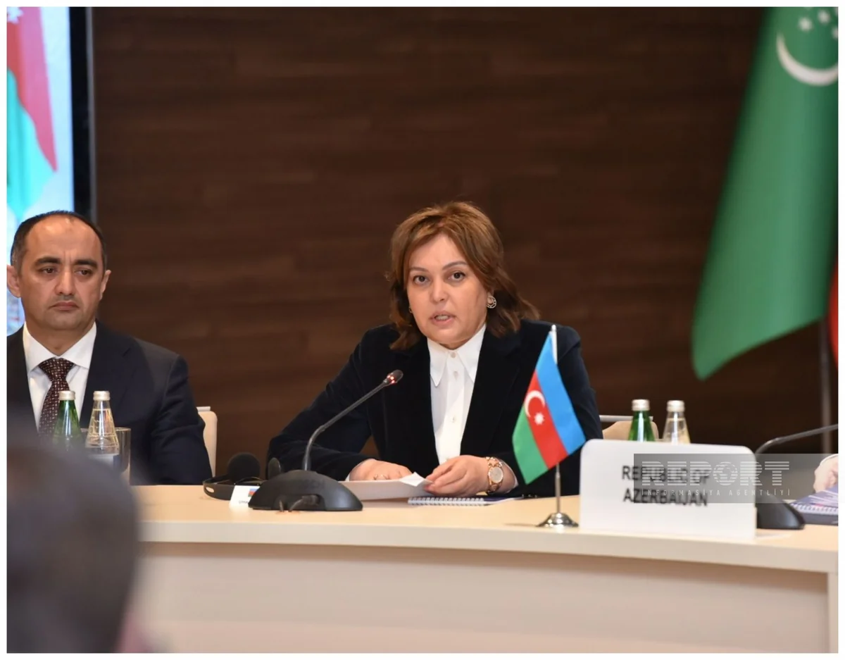 Umayra Taghiyeva: Azerbaijan taking measures to minimize Caspian pollution