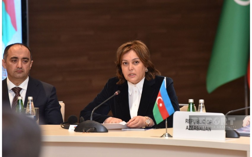Nazir müavini: Azərbaycan Xəzərin çirklənməsini minimuma endirmək üçün tədbirlər görür