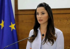Gürcüstanın yeni iqtisadiyyat naziri təyin olunub