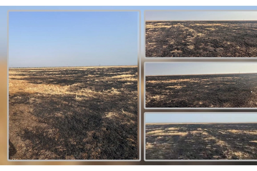 Cəlilabadda yanğın törədən şəxs məsuliyyətə cəlb edilib