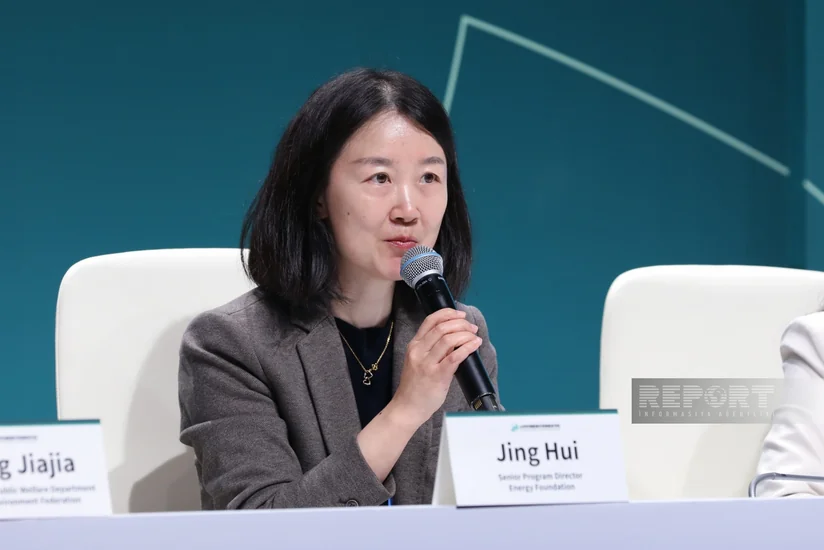 Çin nümayəndəsi: Yaşıl enerjiyə keçid təbiətin qorunmasına xidmət edəcək