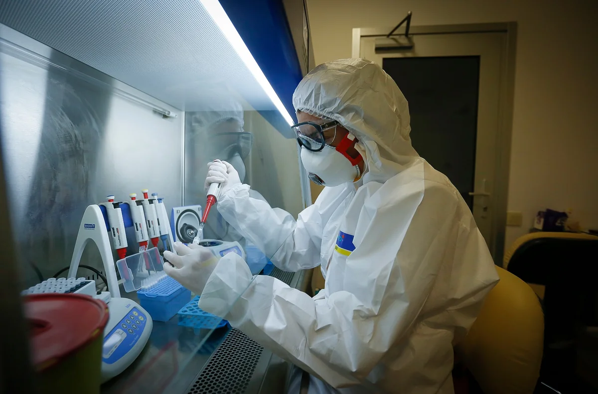 В Норвегии обнаружили новый штамм коронавируса