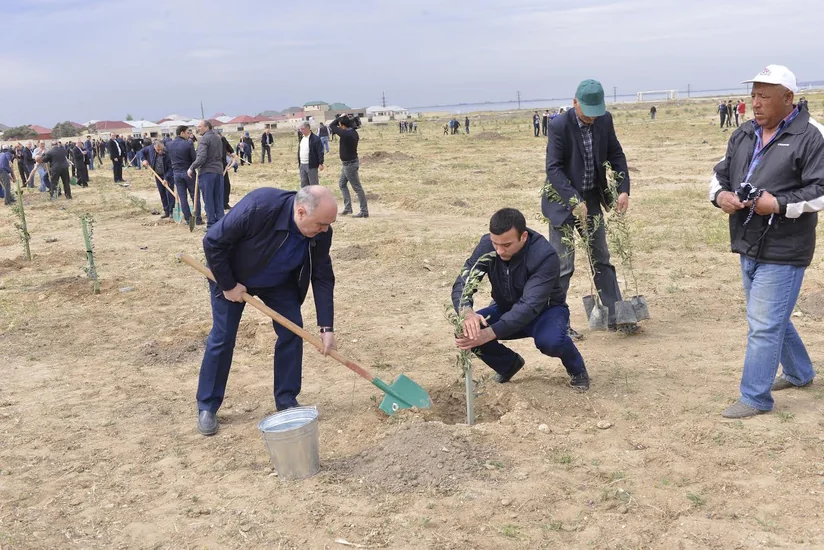 Prokurorluq orqanlarının əməkdaşları növbəti ağacəkmə kampaniyası keçirib