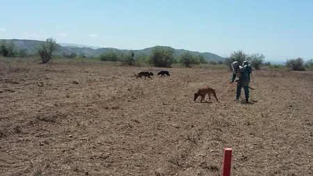 Cocuq Mərcanlı kəndində tank əleyhinə raket və mina aşkarlanıb