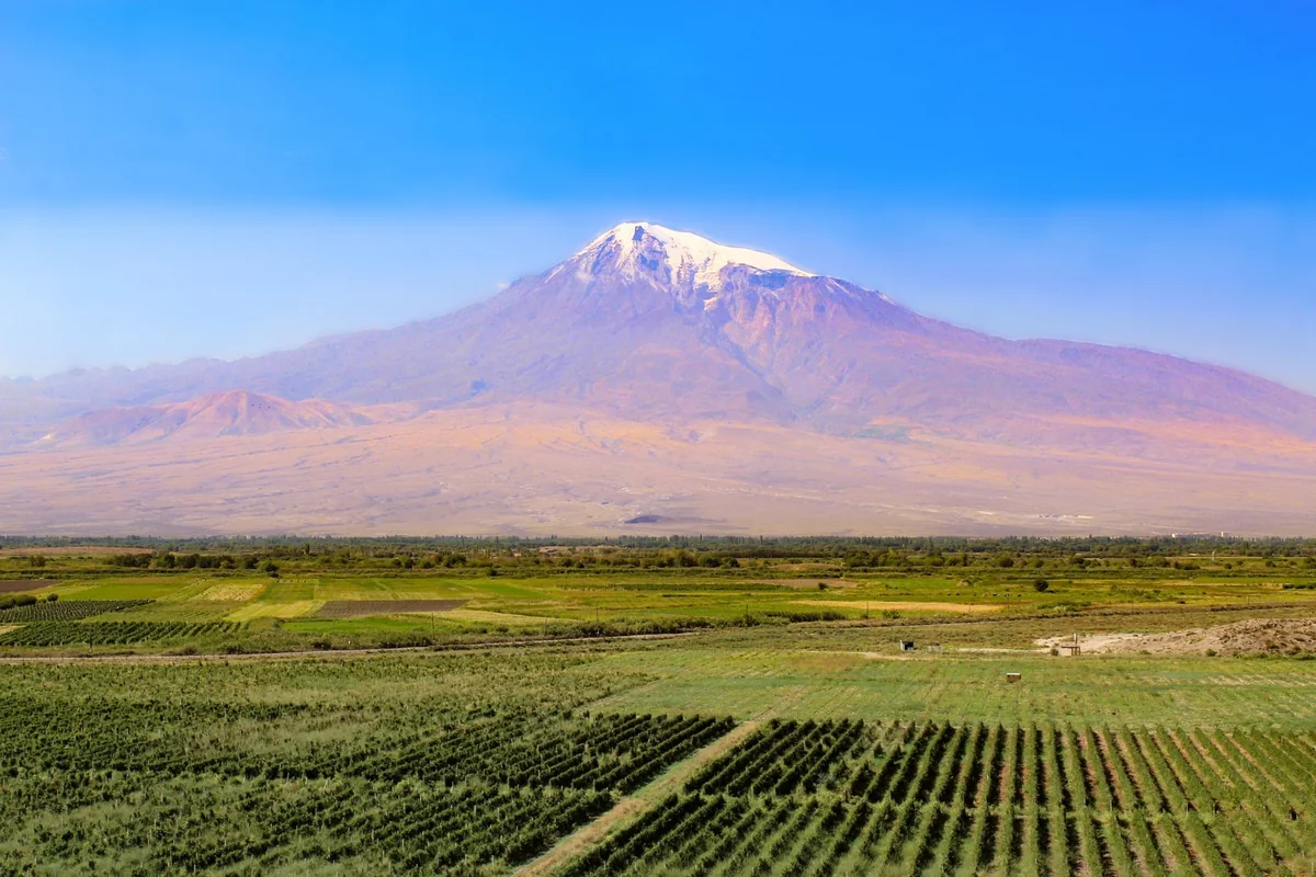 Ermənistanın kənd təsərrüfatı talançılıq siyasətinin bədəlini ödəyir