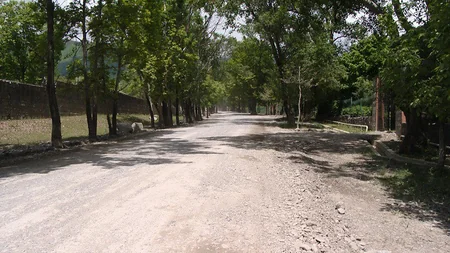 Şəkinin turizm mərkəzinə gedən 7.2 km-lik yol yenidən qurulur - VİDEO