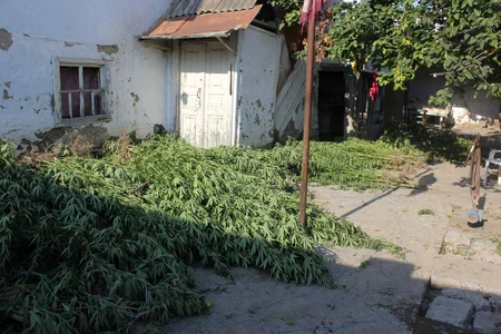 Xaçmaz polisi bir yük avtomobili həcmində narkotik aşkarladı