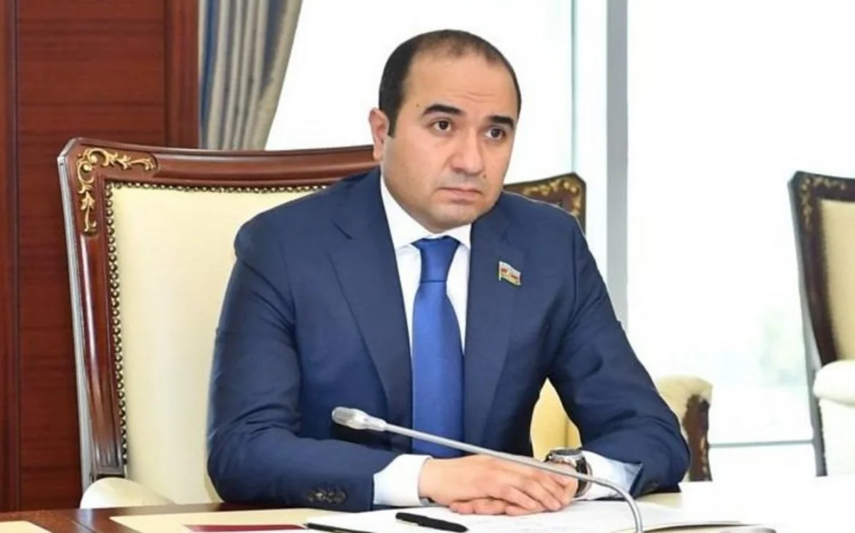 Deputat: Bəzi təşkilatlar ölkəmizə qarşı genişmiqyaslı qarayaxma kampaniyası aparır