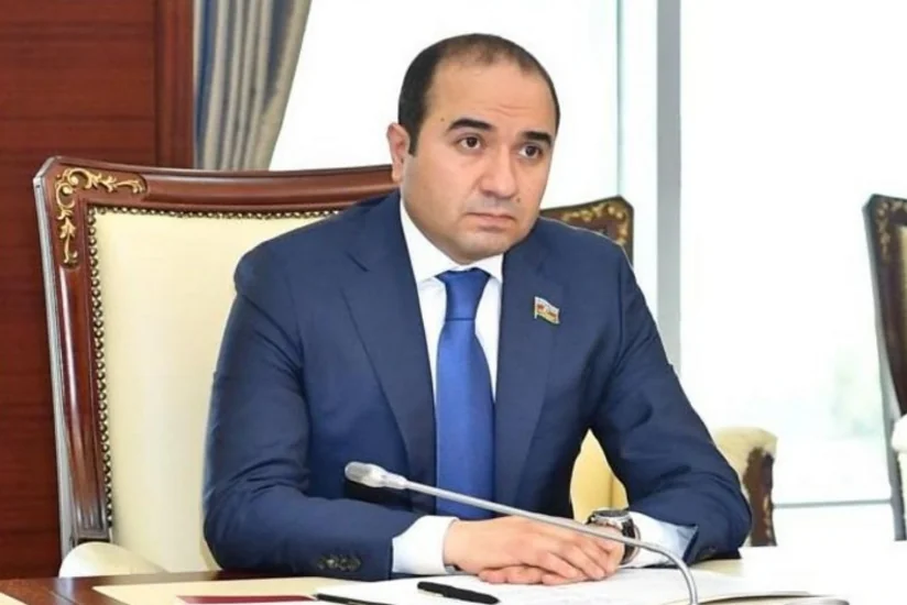 Deputat: Bəzi təşkilatlar ölkəmizə qarşı genişmiqyaslı qarayaxma kampaniyası aparır