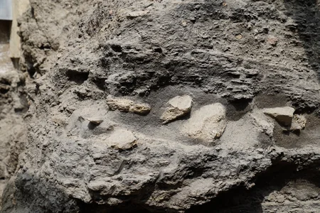 UNESCO yanında Beynəlxalq Şuranın nümayəndələri İçərişəhəri ziyarət ediblər