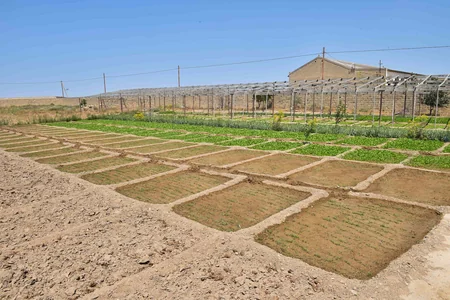 Bakının Xəzər rayonunda sudan sayğacdankənar istifadə halları aşkar edilib