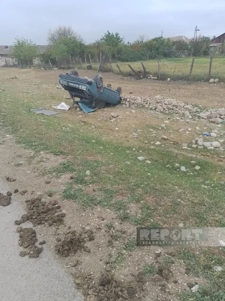 Oğuzda avtomobil qoyun sürüsünü vurub, 10-dan çox heyvan tələf olub