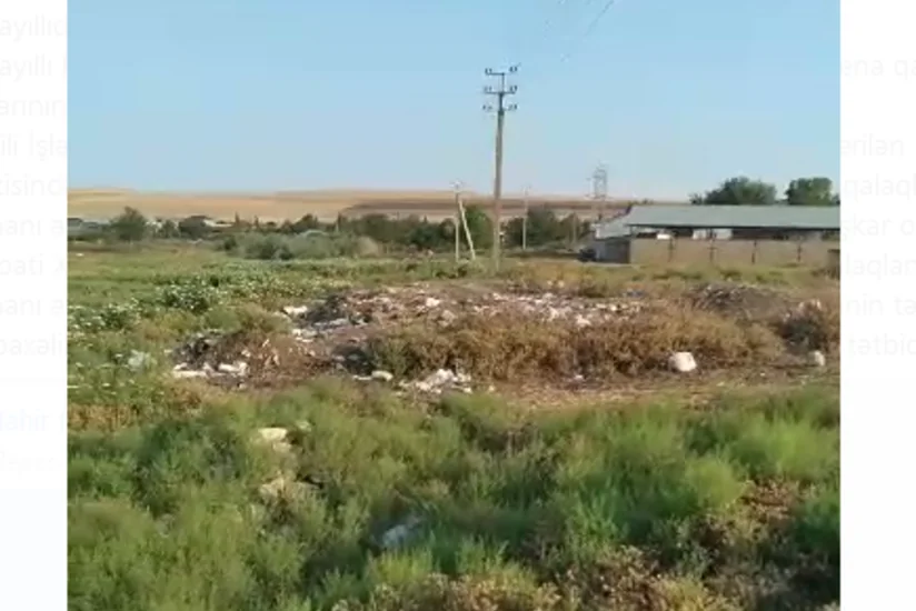 İsmayıllıda bələdiyyə sədri inzibati məsuliyyətə cəlb olunub 