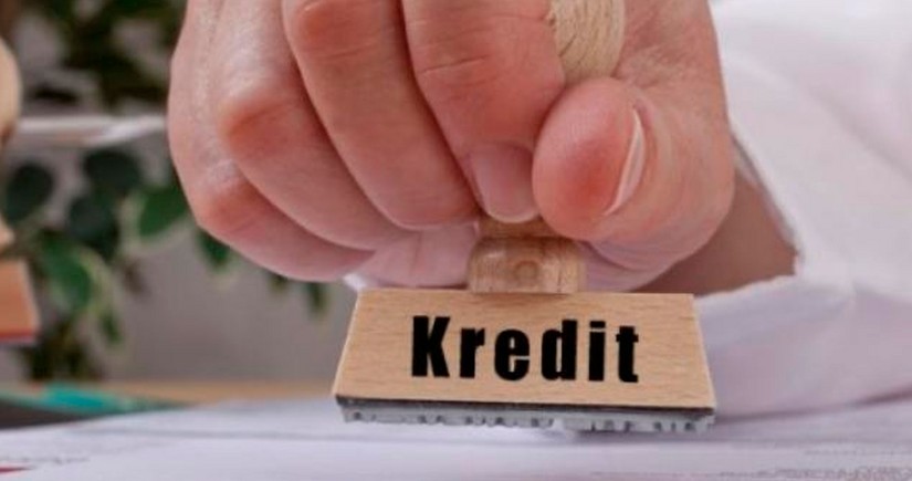 Naxçıvan iqtisadiyyatına kredit qoyuluşu 8 %-ə yaxın artıb