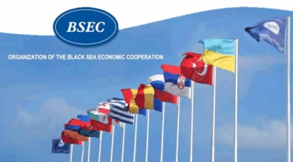 BSEC summit in Istanbul adopts final declaration