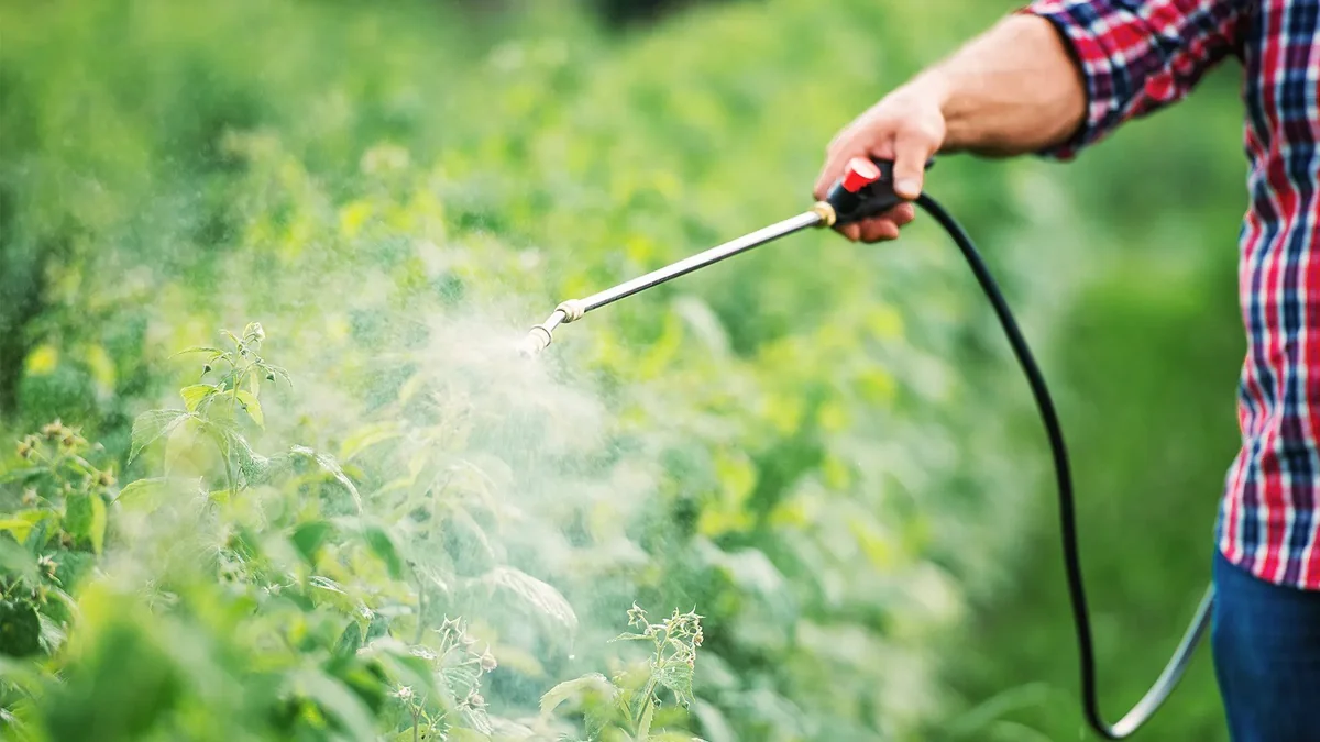 Azerbaijan resumes pesticide imports from two countries