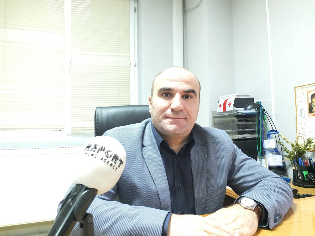 Azərbaycanlı müşahidəçilər Gürcüstanda keçiriləcək bələdiyyə seçkilərini izləyəcəklər