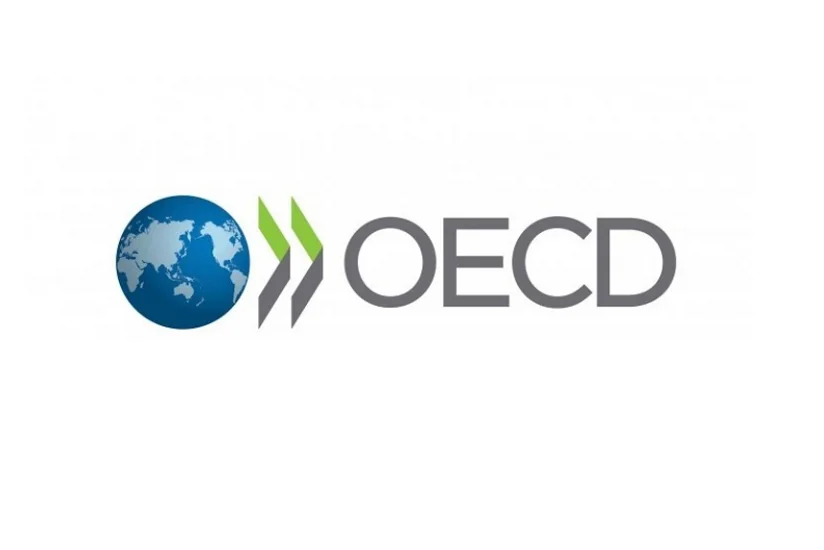Азербайджан будет представлен в Комитете содействия развитию OECD