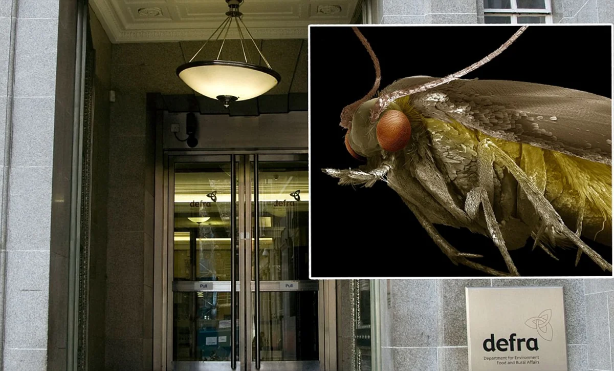 Four floors of UK Department of Energy closed due to insects