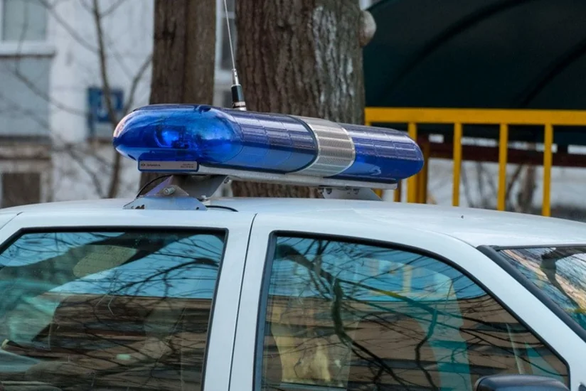 В Подмосковье азербайджанца застрелили из-за картошки