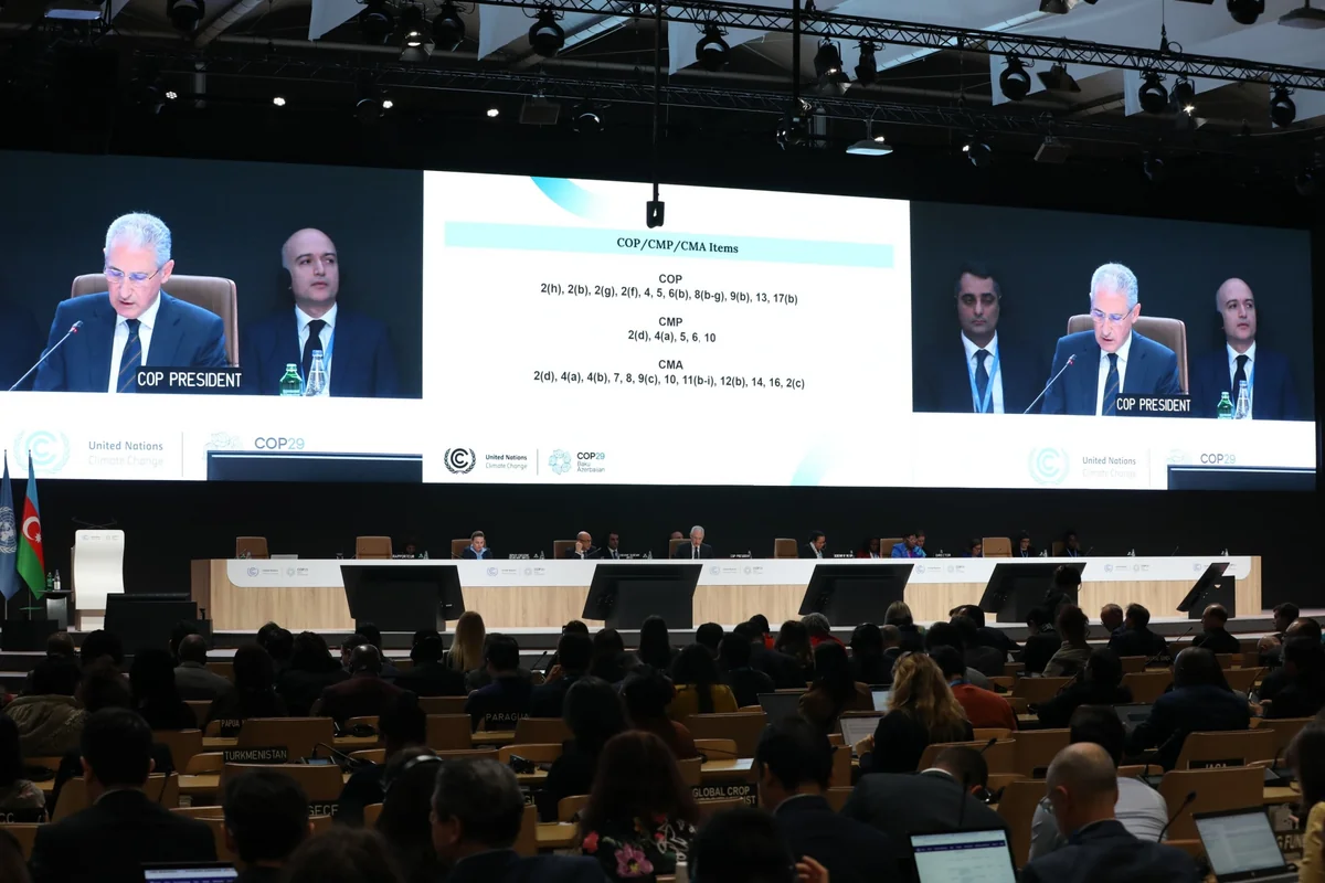 COP29 adopts new collective quantified goal on climate finance