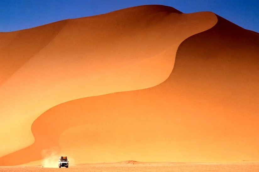 Alimlər Saxara səhrasını yaşıllaşdırmağın yollarını tapıblar