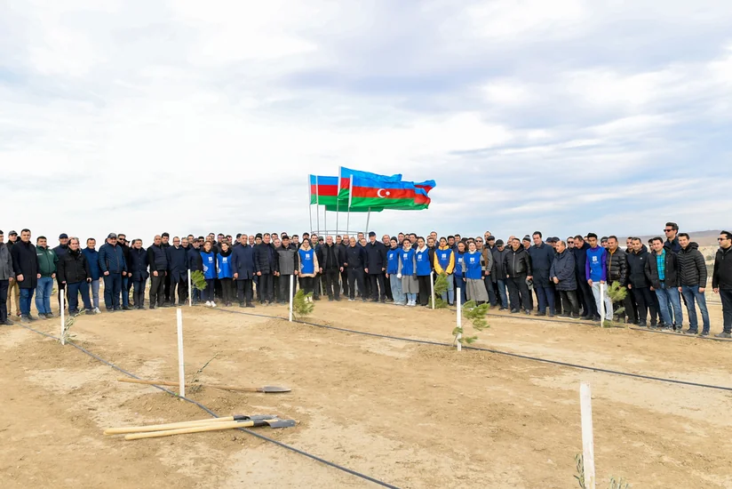 В честь 100-летия со дня рождения Гейдара Алиева проведена акция по посадке деревьев