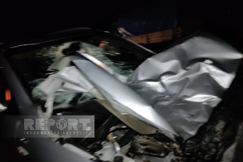 В Огузе автомобиль сбил перебегавшую дорогу лошадь, есть пострадавший