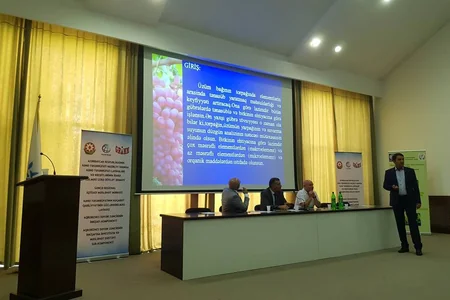 Kənd Təsərrüfatı Nazirliyi üzümçülərə təlim keçib
