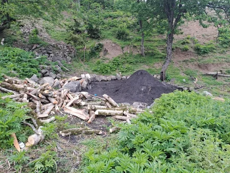 İsmayıllı, Qax və Ağstafada qanunsuz kömür quyuları aşkarlanıb