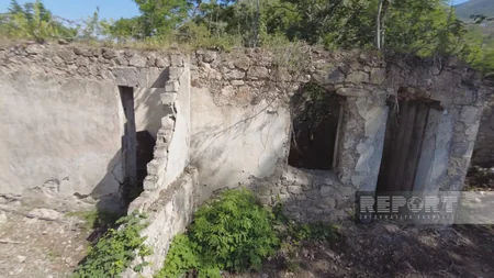 Laçının laçın vaxtları hələ indi başlayır - REPORTAJ