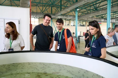 5000 endemic sturgeon fish released into the Caspian Sea as part of Azerbaijan Fish Farm and AZANS cooperation – PHOTO