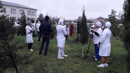 Kürdəmirdə ağacəkmə aksiyası keçirilib