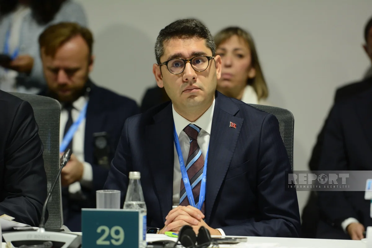 Turkish official: Digital tech dev't plays crucial role in human life