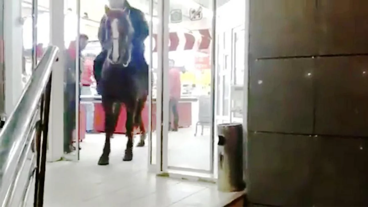В Кыргызстане пьяный всадник заехал на коне в супермаркет - ВИДЕО