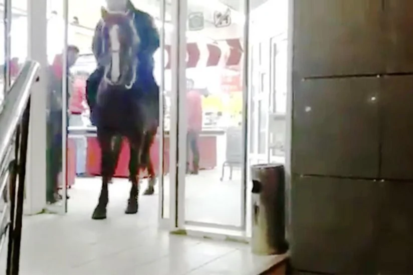 В Кыргызстане пьяный всадник заехал на коне в супермаркет - ВИДЕО