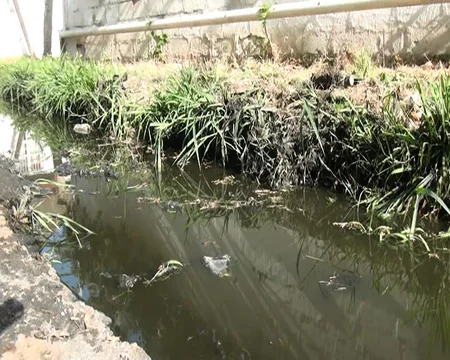 Kürdəmirin mərkəzi küçəsinin mövsümi qonaqları: yayda üfunət, qışda sel suları - REPORTAJ